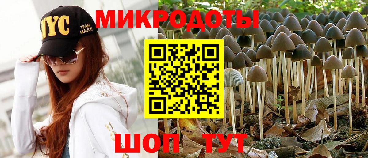 Галлюциногенные грибы ЛСД  Вход с VPN  Электрогорск 