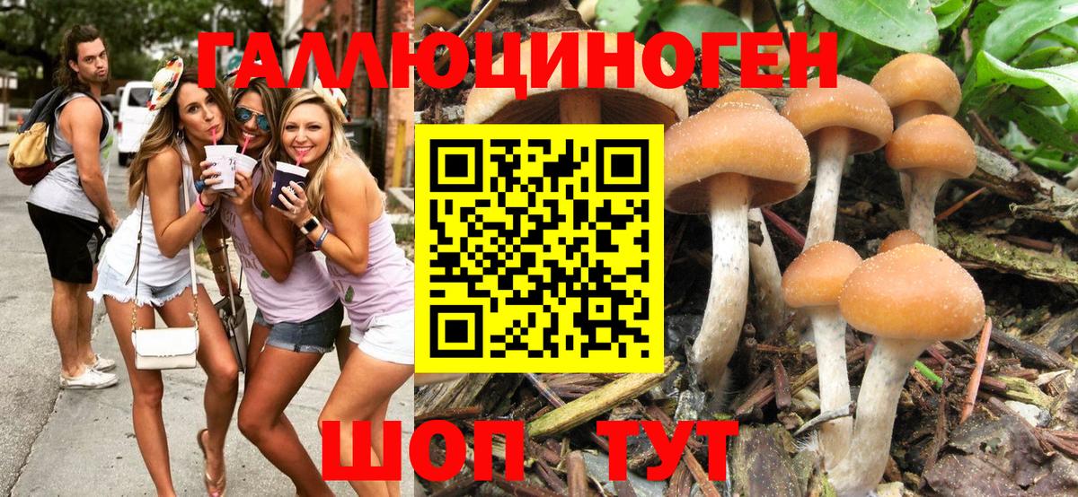 Псилоцибиновые грибы Magic Shrooms Электрогорск